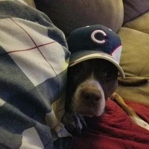 Meet your Posher, Robert